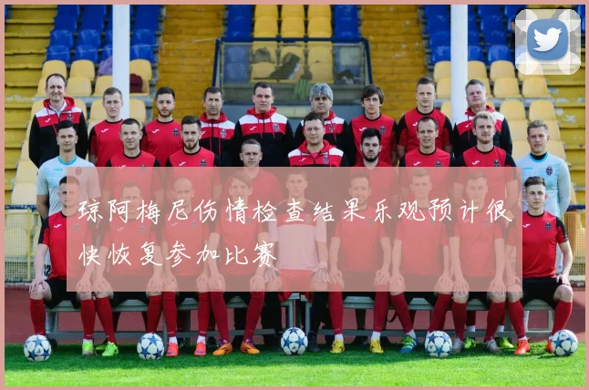 琼阿梅尼伤情检查结果乐观预计很快恢复参加比赛